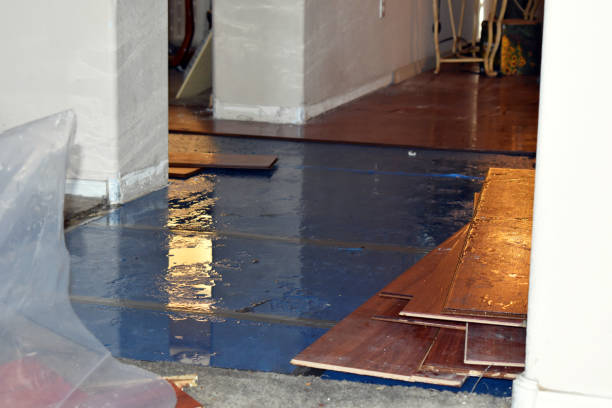 Professional Basement Flood Cleanup technician working in Riverside, IL